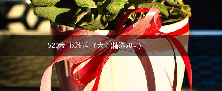 520表白爱情句子大全(精选50句),第1张