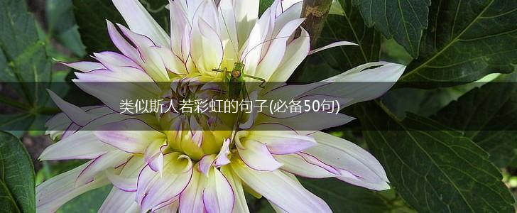 类似斯人若彩虹的句子(必备50句),第1张