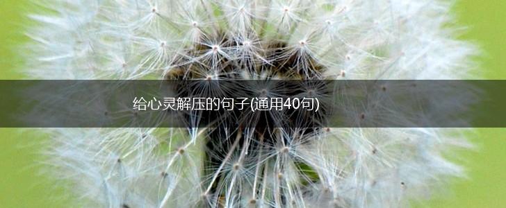 给心灵解压的句子(通用40句),第1张