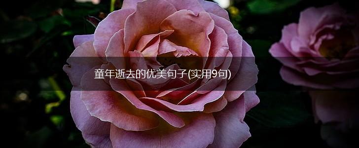童年逝去的优美句子(实用9句),第1张
