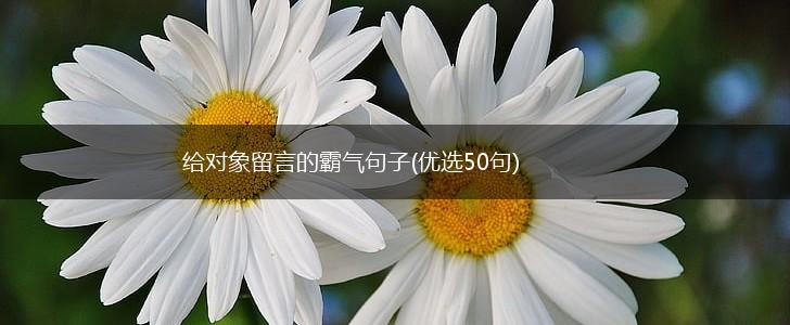 给对象留言的霸气句子(优选50句),第1张
