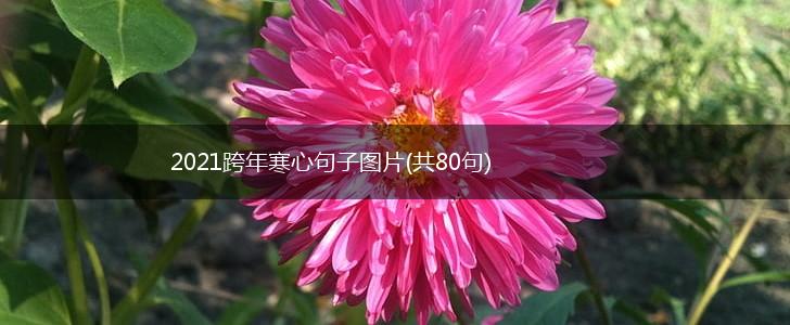 2021跨年寒心句子图片(共80句),第1张