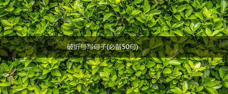破折号写句子(必备50句),第1张