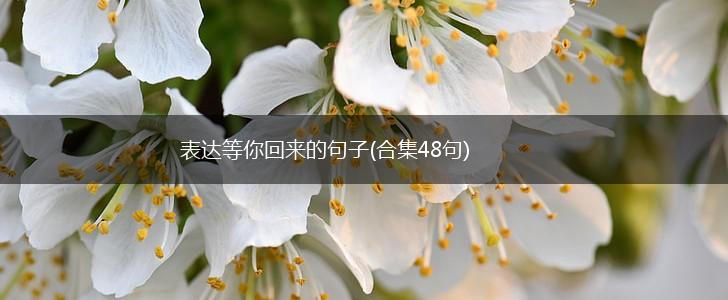 表达等你回来的句子(合集48句),第1张