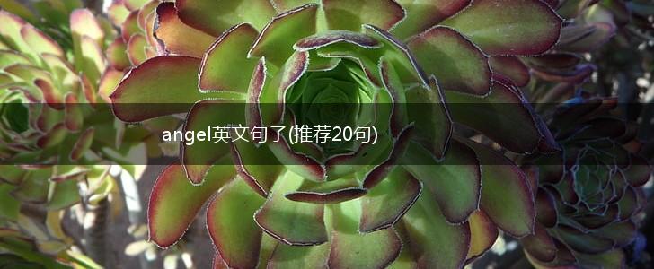angel英文句子(推荐20句),第1张