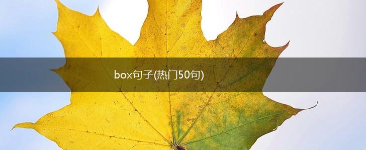 box句子(热门50句),第1张