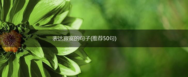 表达寂寞的句子(推荐50句),第1张