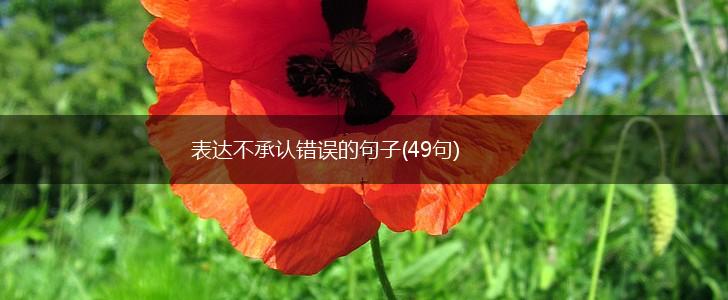 表达不承认错误的句子(49句),第1张