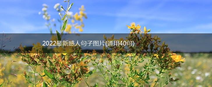 2022最新感人句子图片(通用40句),第1张
