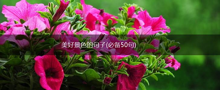 美好景色的句子(必备50句),第1张