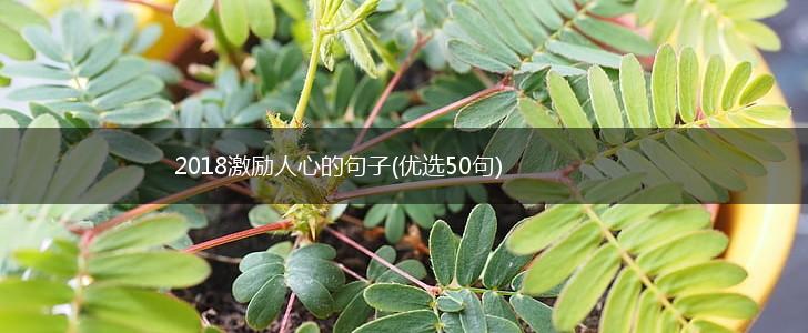 2018激励人心的句子(优选50句),第1张