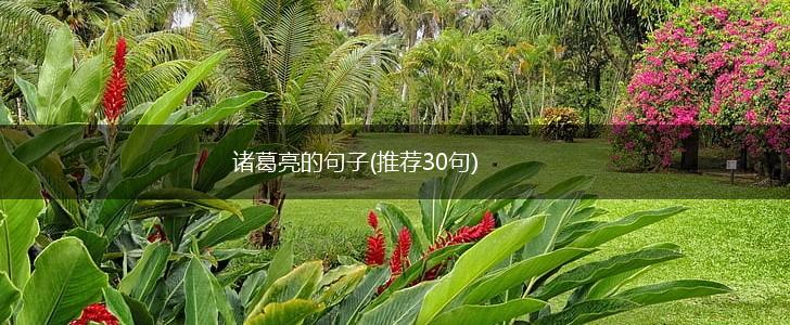 诸葛亮的句子(推荐30句),第1张