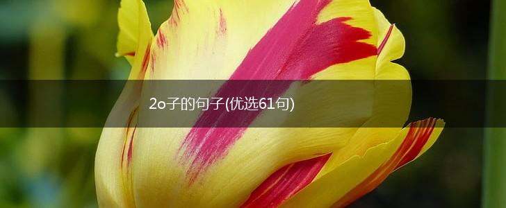 2o子的句子(优选61句),第1张