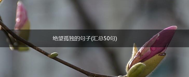 绝望孤独的句子(汇总50句),第1张