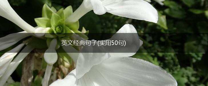 英文经典句子(实用50句),第1张