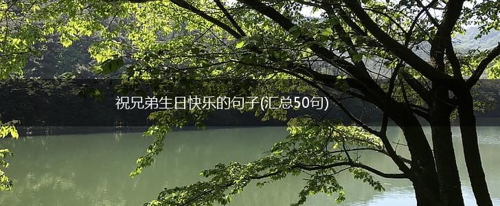 祝兄弟生日快乐的句子(汇总50句),第1张