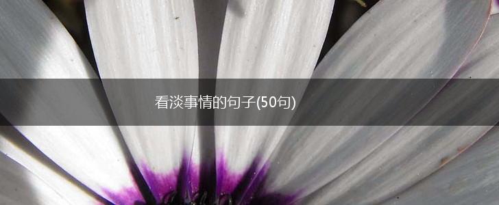 看淡事情的句子(50句),第1张