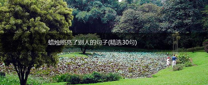 蜡烛照亮了别人的句子(精选30句),第1张