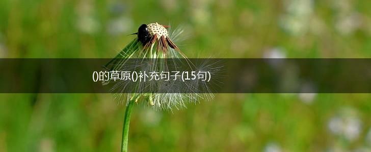()的草原()补充句子(15句),第1张