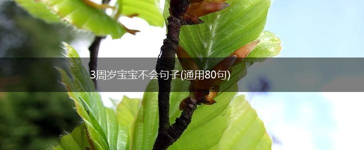 3周岁宝宝不会句子(通用80句),第1张