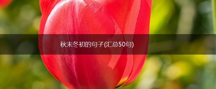 秋末冬初的句子(汇总50句),第1张
