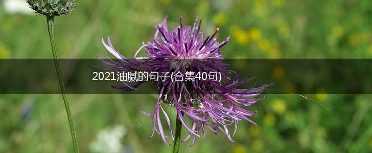 2021油腻的句子(合集40句),第1张