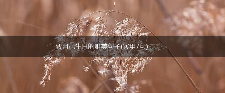 致自己生日的唯美句子(实用7句),第1张