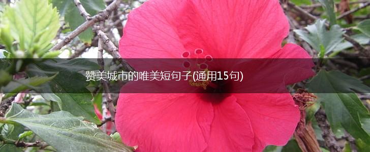 赞美城市的唯美短句子(通用15句),第1张