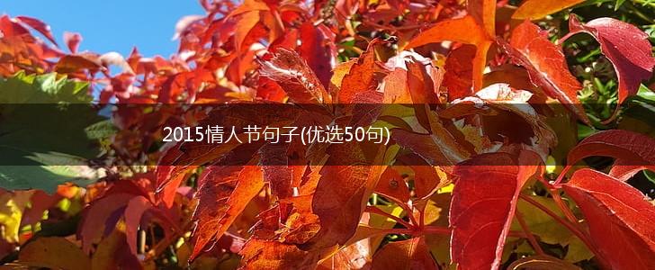 2015情人节句子(优选50句),第1张