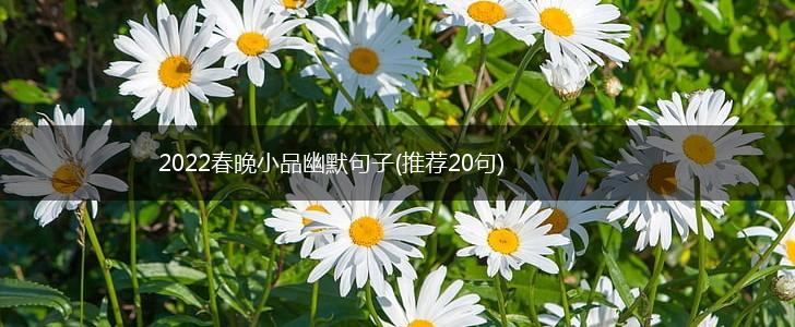 2022春晚小品幽默句子(推荐20句),第1张