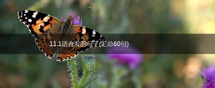11.1适合发的句子(汇总60句),第1张