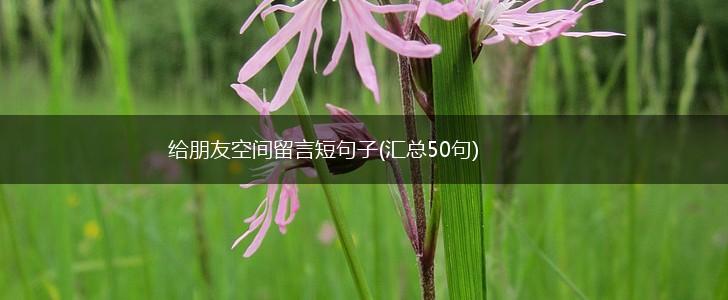 给朋友空间留言短句子(汇总50句),第1张
