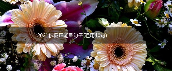 2021积极正能量句子(通用40句),第1张