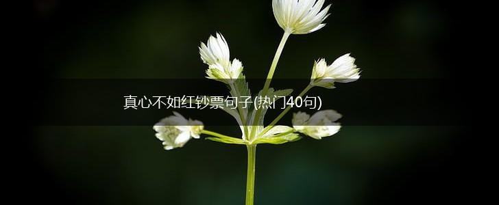 真心不如红钞票句子(热门40句),第1张