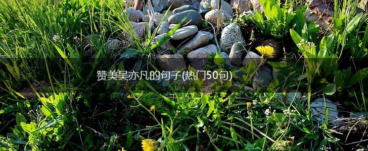 赞美吴亦凡的句子(热门50句),第1张