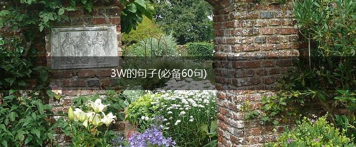 3W的句子(必备60句),第1张