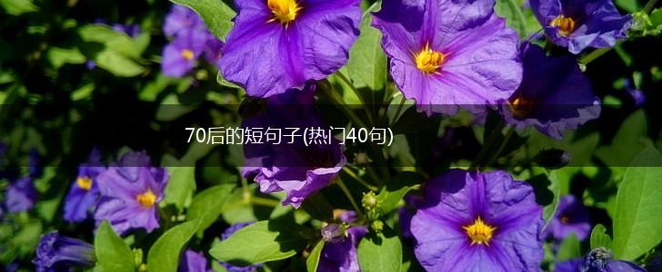 70后的短句子(热门40句),第1张