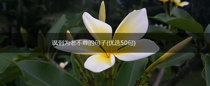 讽刺为老不尊的句子(优选50句),第1张