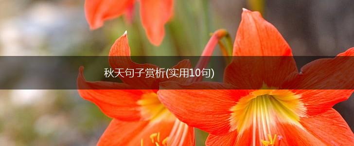 秋天句子赏析(实用10句),第1张