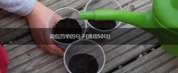 调侃罚单的句子(通用50句),第1张
