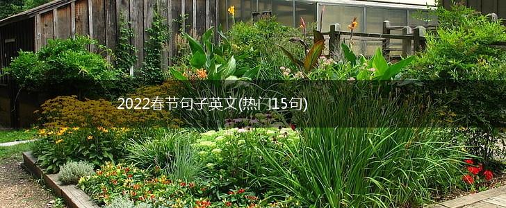 2022春节句子英文(热门15句),第1张