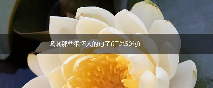 讽刺那些很坏人的句子(汇总50句),第1张