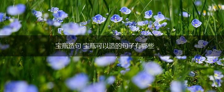 宝瓶造句 宝瓶可以造的句子有哪些,第1张
