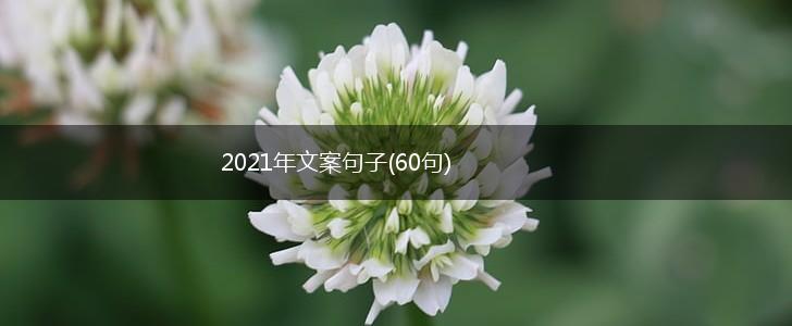 2021年文案句子(60句),第1张