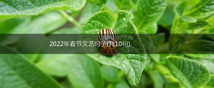 2022年春节文艺句子(共10句),第1张