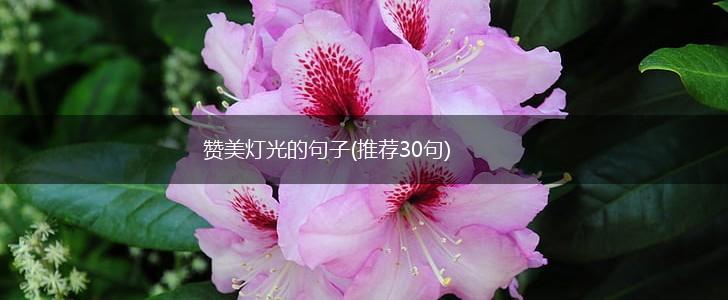 赞美灯光的句子(推荐30句),第1张