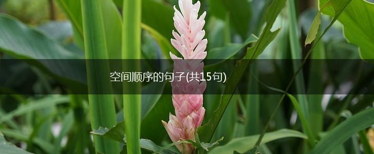 空间顺序的句子(共15句),第1张