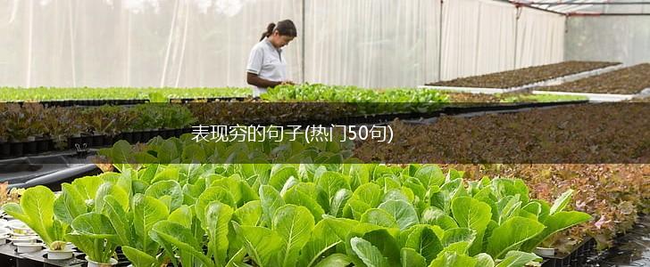 表现穷的句子(热门50句),第1张