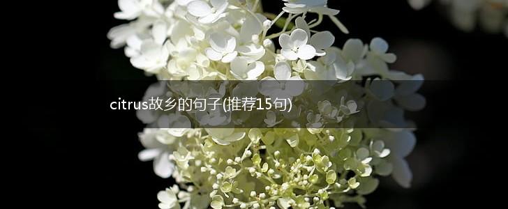 citrus故乡的句子(推荐15句),第1张