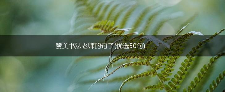 赞美书法老师的句子(优选50句),第1张